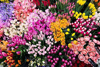 E3：《彩虹六号：围攻》跨平台计划公布 北境航星动画短片